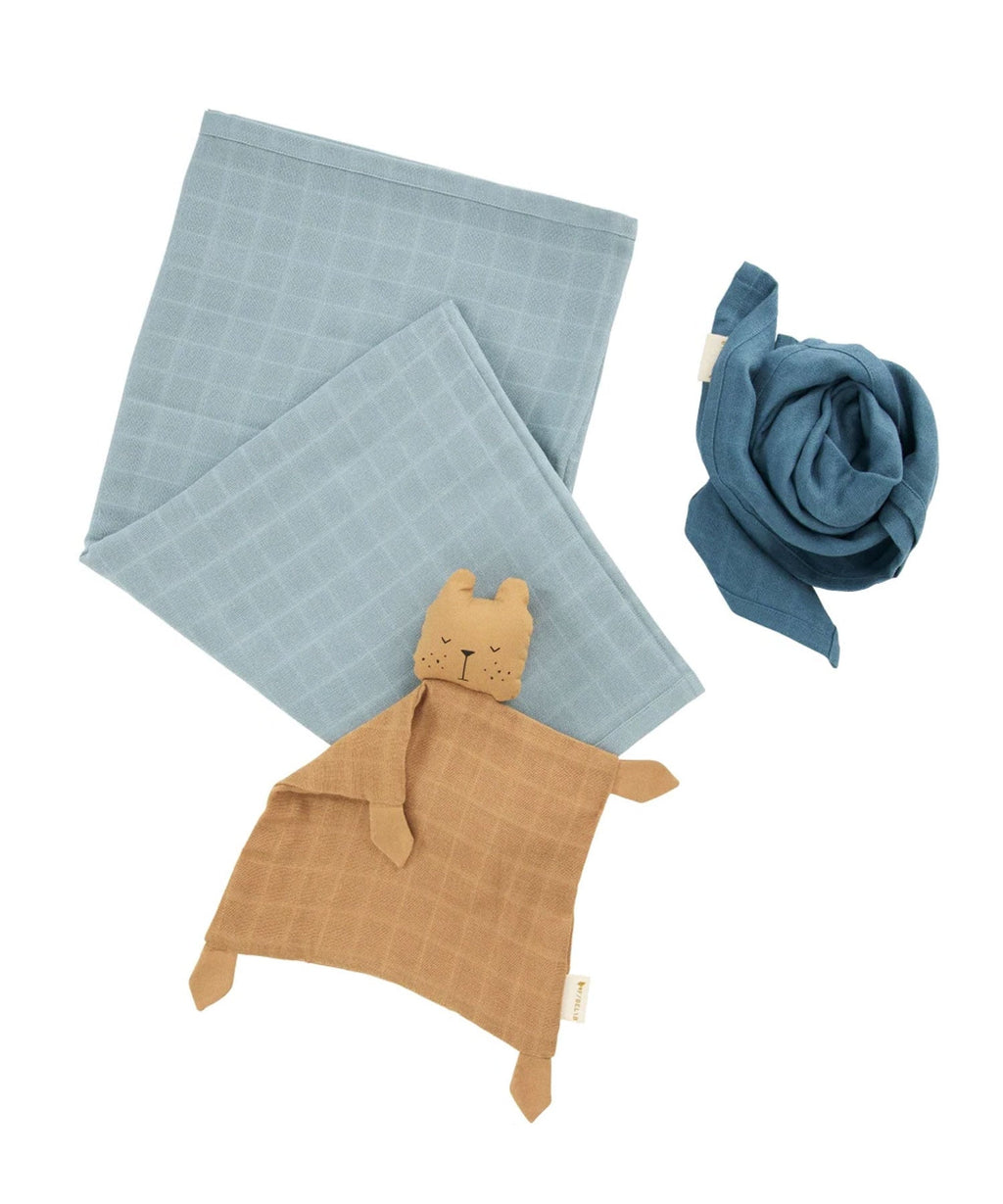 Newborn Baby Gift Box - Cottage Blue Mix Fabelab