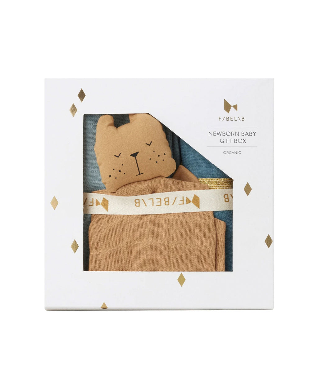 Newborn Baby Gift Box - Cottage Blue Mix Fabelab