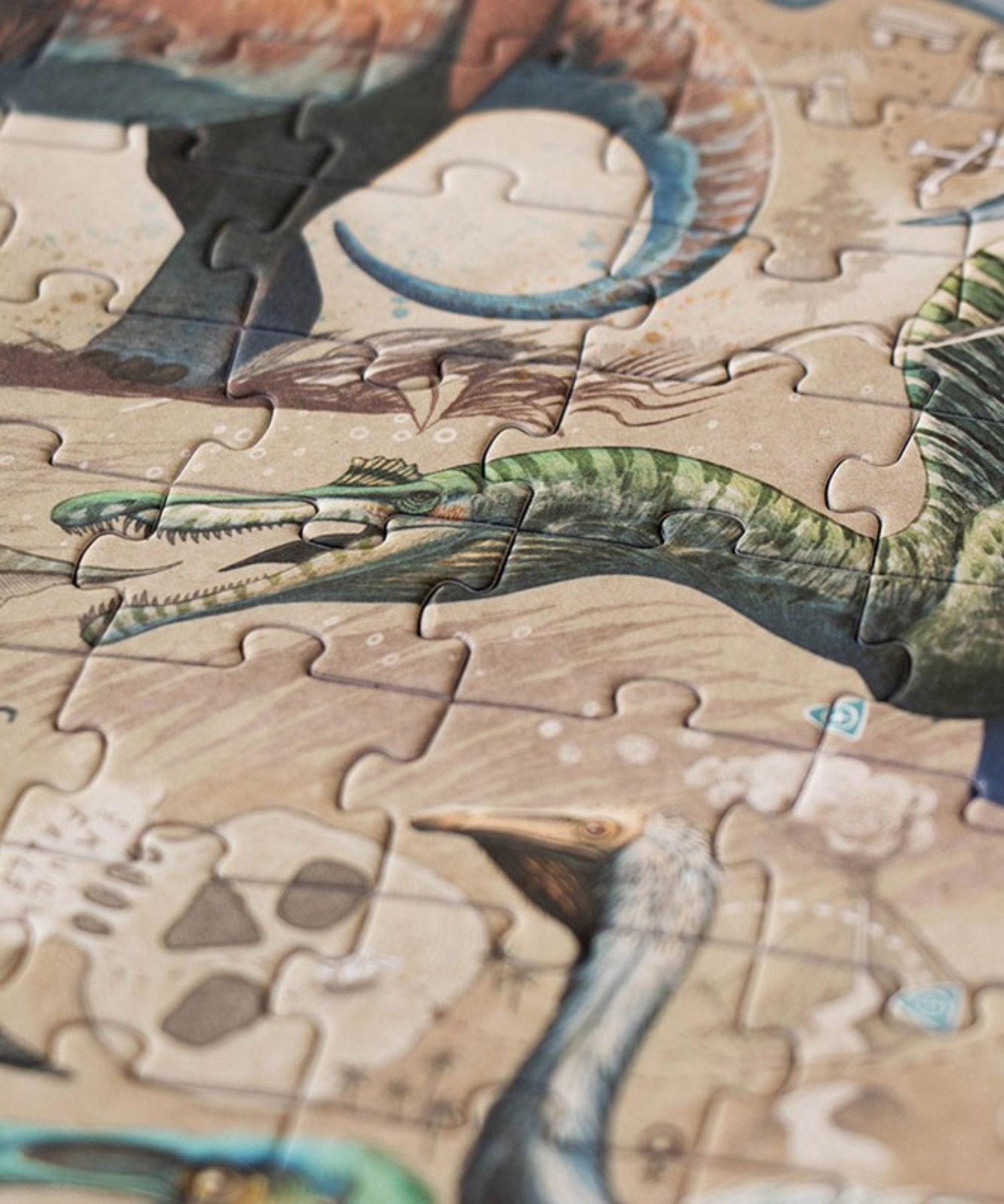 Dino-Entdecker – Puzzle