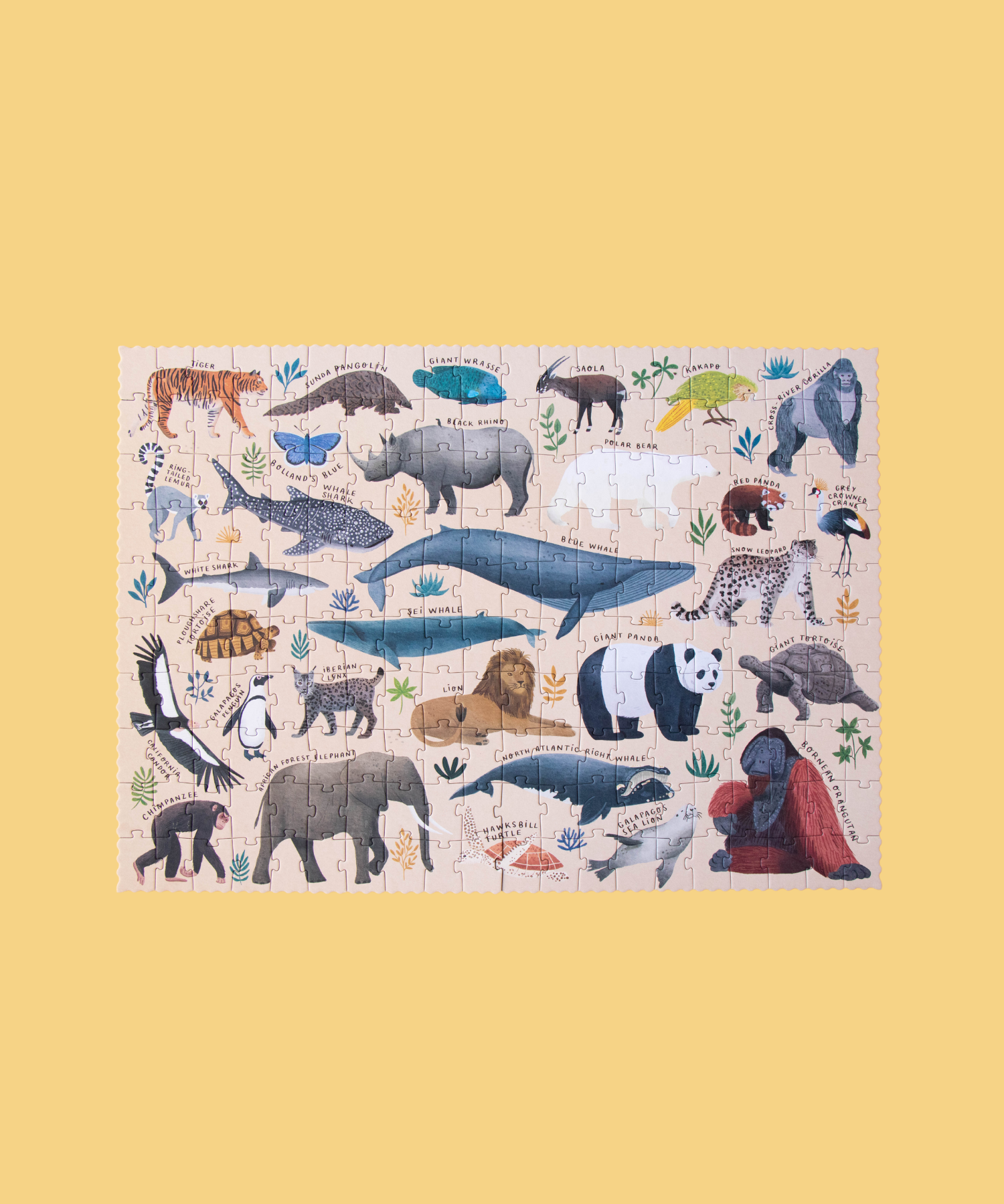Life Puzzle Londji