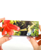 Hummingbirds Flipbook Flipboku