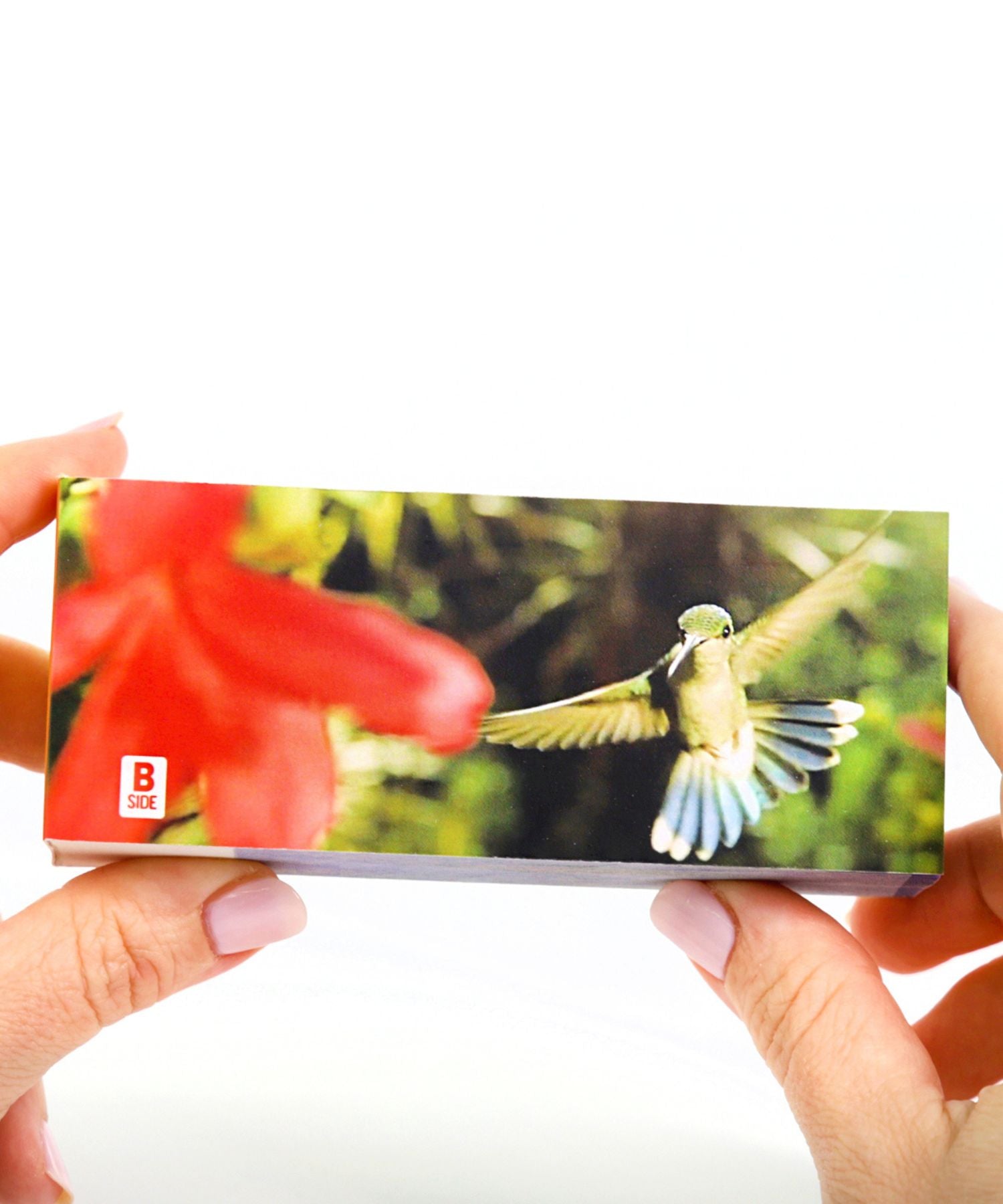 Hummingbirds Flipbook Flipboku