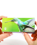 Hummingbirds Flipbook Flipboku