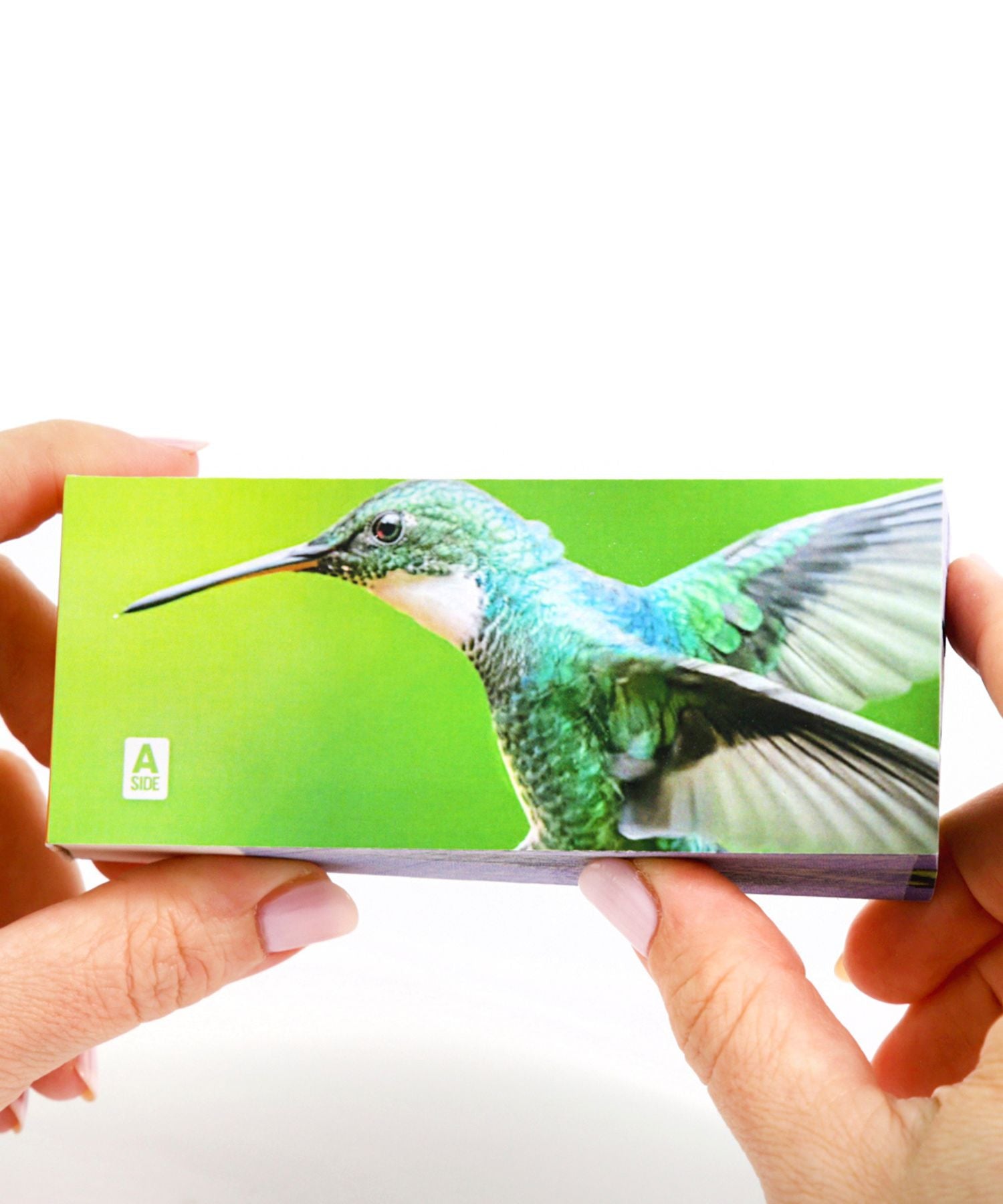 Hummingbirds Flipbook Flipboku