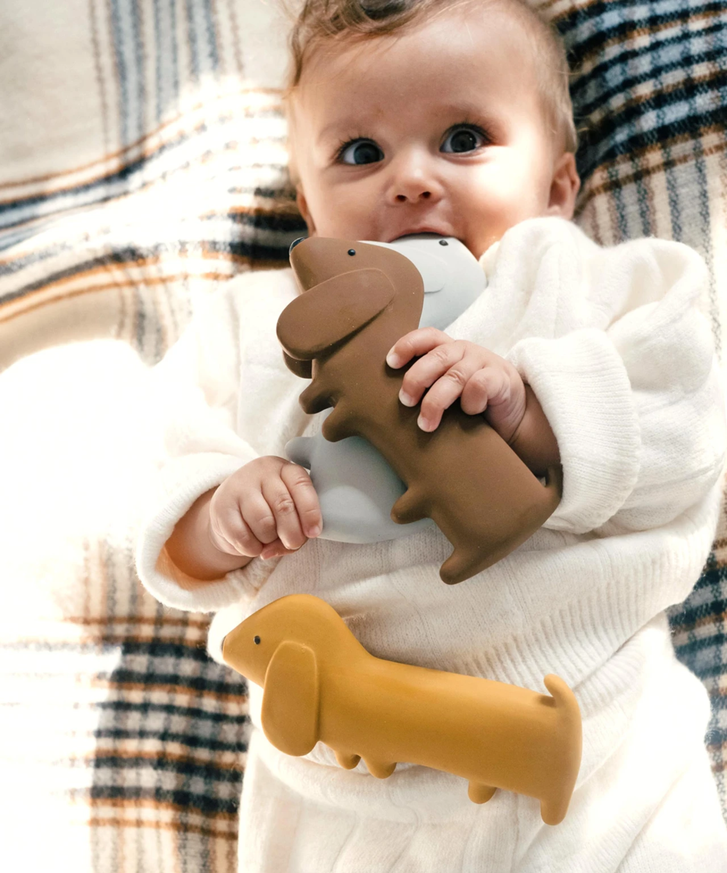 Gommu Mini Dog – Choco – 100% Natural Rubber Hevea Tree We are Gommu